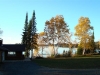 Cabin 5