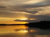 Golden glow