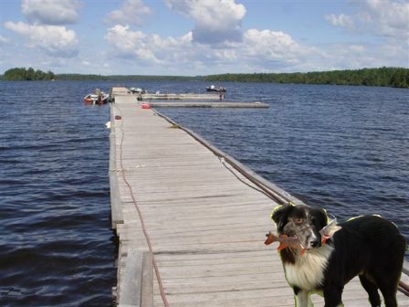 Spring Weather - Sleepy Dog Cabins | Northwestern Ontario Fishing and ...